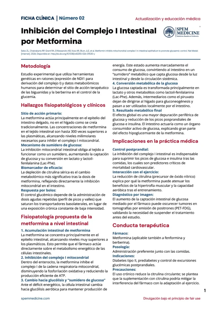 Portada: Metformina, inhibición del complejo 1 intestinal